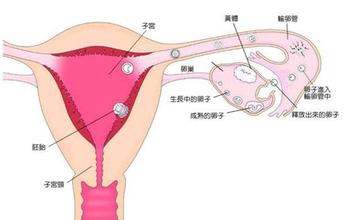 ���в���