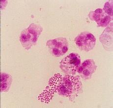 ÷���ĽϼѼ��ʱ��