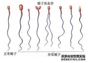 ���˾�Һ��ɫ������ô��