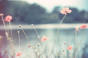 子宫功能性出血症状